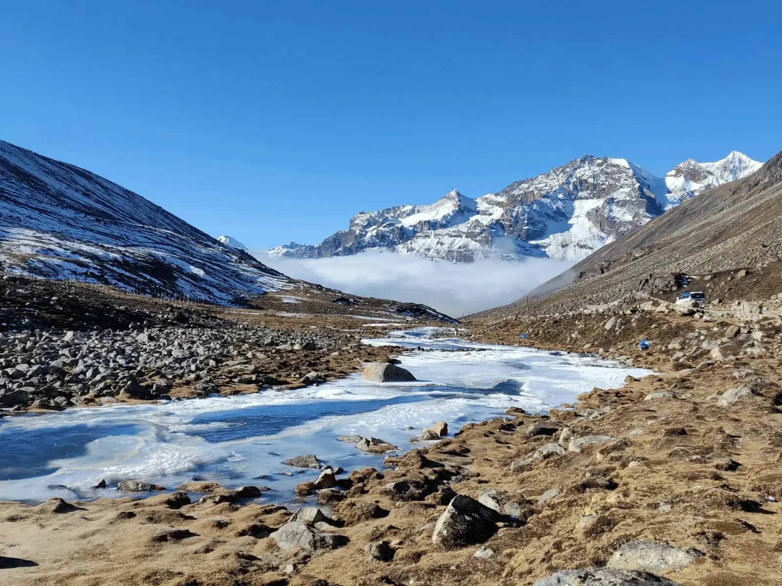 Yumthang Valley